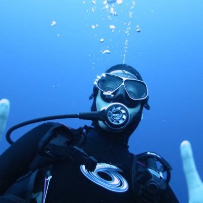un349173649's profile picture. 研究職\修士卒2020入社 理工生命系\ダイビング\料理