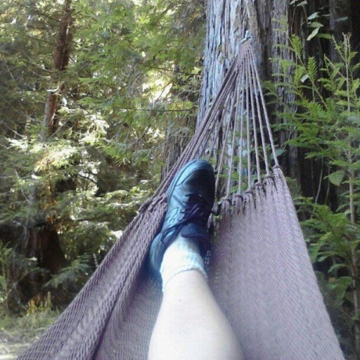 DailyQuotes4Ya's profile picture. 39 male, eureka california, love writing lyrics, hip hop, DFS, cruising, netflix, coffee.  trying to become an uber driver.