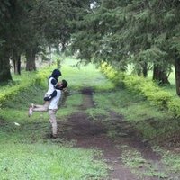 NikenAyuWulandari (@nknaw01) 's Twitter Profile