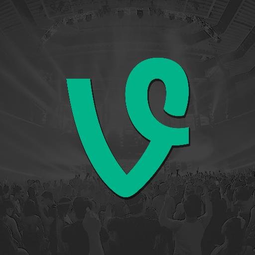 EDMvine Profile