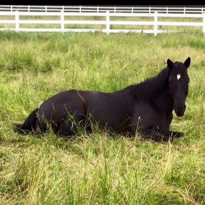 DiAngelina917's profile picture. Author of Contemporary Romance Novel with seductively sassy scenes. I am a retired nurse who is starting a new chapter in life as an aspiring author.