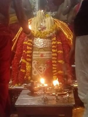 jha_181961's profile picture. 