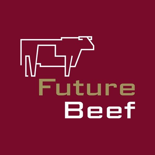 FutureBeef is a collaborative program between MLA and the governments of QLD, NT and WA, working for a profitable and sustainable northern beef industry.