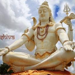 chadda_naveen's profile picture. 