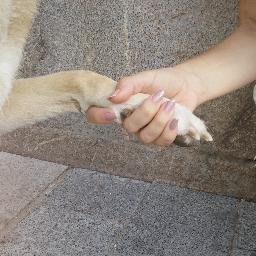 lunasantosuco's profile picture. 