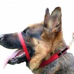 KenPerry2016's profile picture. 