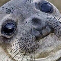 rondondon94's profile picture. 