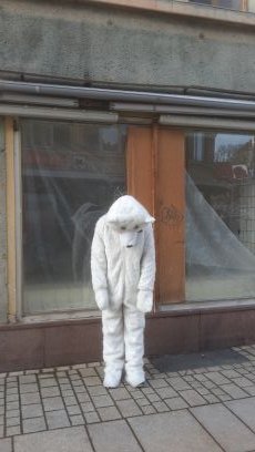 Antifa // Anarchie // Postkolonie
Ostdeutschland // Südafrika // Lateinamerika
Wutausbrüche eines traurigen Eisbären