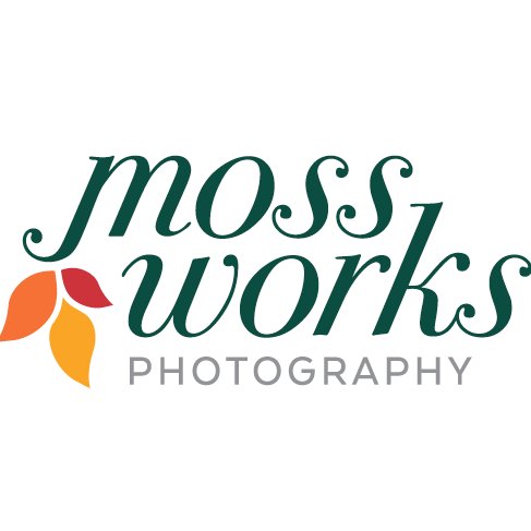 MossWorks's profile picture. Freelance photographer specializing in personalized product shoots, fashion, events and photojournalism. ✨Message me to schedule a shoot!