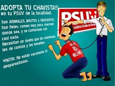 elmejor0911's profile picture. 