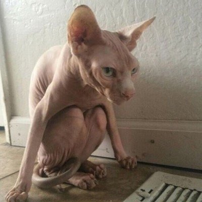 bsmeier14's profile picture. Random thoughts that must be tweeted out to the Twitter-verse.