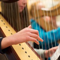Music Gen Laois (@musicgenlaois) 's Twitter Profile