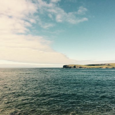 AndHorgan's profile picture. 