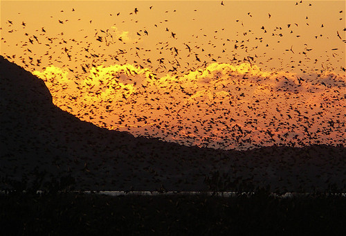 Quizmaster1's profile picture. 