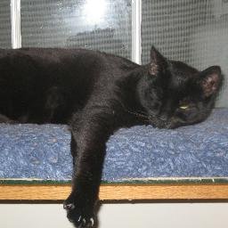 LevonConrad's profile picture. 