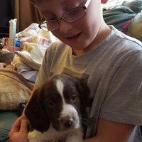 Wendy Carter (@weststcarter) 's Twitter Profile Photo