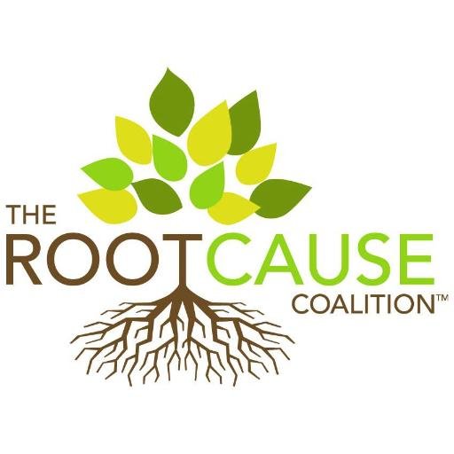 Mission: Reverse and end the systemic root causes of health inequities for individuals and communities through cross-sector partnerships.