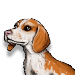 daveさんのプロフィール画像