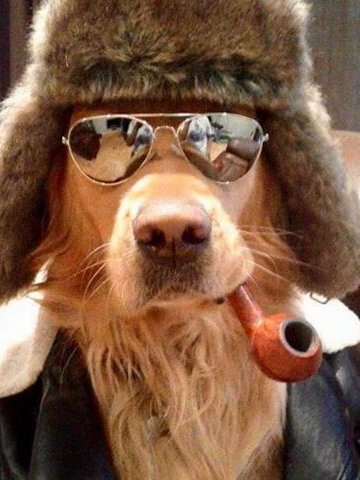 sow_salimar's profile picture. 