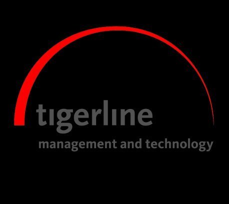 management and technology consultancy with a focus on online and eCommerce