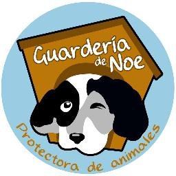 Somos una Asociación que se encarga del rescate de setter y perros víctimas de la caza.