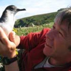 Professor of Animal Behaviour at the Department of Zoology, Oxford University