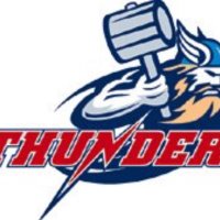 DFS Thunder (@dfsthunder) 's Twitter Profile