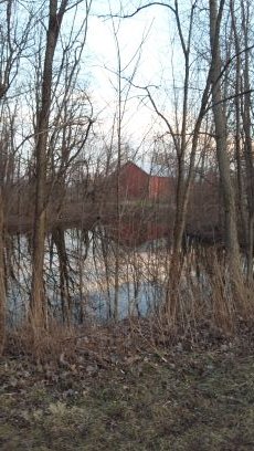 imaboyscout12's profile picture. 