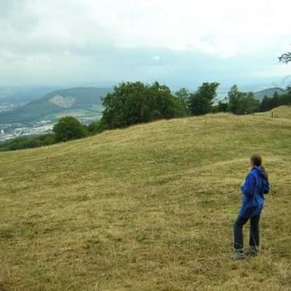 introverted_not's profile picture. #Mum of 3, freelance #writer & social media manager. Newbie #blogger at #Introverted Not Disconcerted.