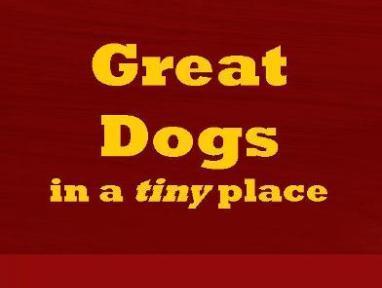 thesqueezein's profile picture. The best (and smallest) hot dog shop you will ever enter. Stop by and see!