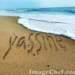 yazzino123's profile picture. 