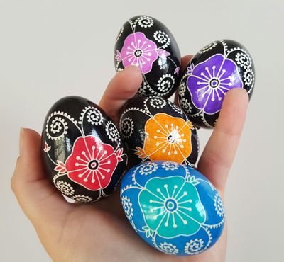 NakedCatEggery's profile picture. Eggs and Cats