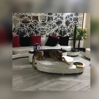 simran (@simcapricorn) 's Twitter Profile