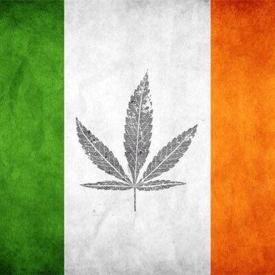 Instagram: irish_movement420