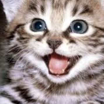 skizank1's profile picture. your eyes are so beautiful, it's like I'm staring into a big puddle of mud