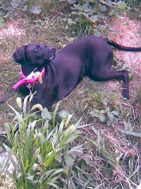 Meaulement's profile picture. Where do I go, follow the river?