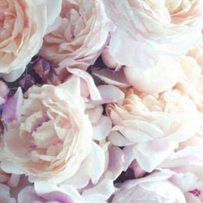 sarahhayyych's profile picture. Muslim Sunni Lebanese. Ahlu sunnah wal jama’ah. From the northern mountains of Lebanon