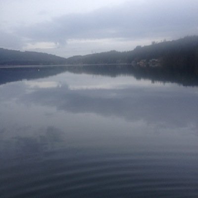 LindsayGrantha1's profile picture. 