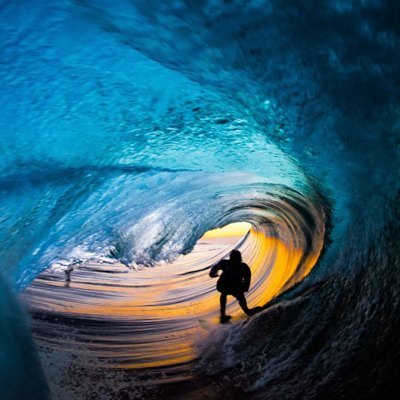 MaximusJet's profile picture. Leafs, Jays, Broncos