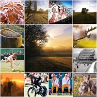 Photos of the Days (@photooftheday) 's Twitter Profile