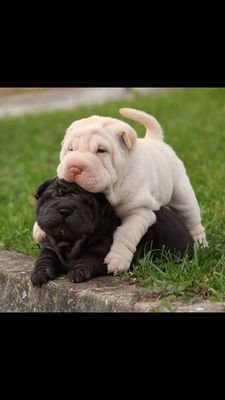 akenNdoit's profile picture. 