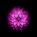 fivrimars (@0555_82) Twitter