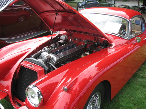 allcarsalltruck's profile picture. Rants and Raves about our favorite subject: Cars and Trucks