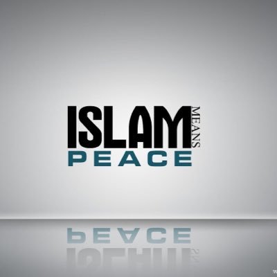 introducing Islam to Non-Muslims , happy to answer any questions my friends, the DM is open😊❤️❤️