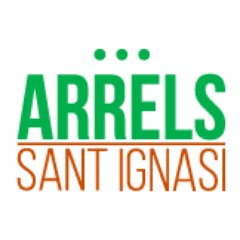 arrels_stignasi Profile Picture