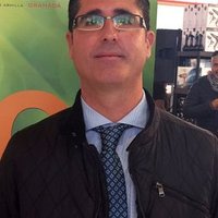 Domingo Sola (@domingosola2) 's Twitter Profile