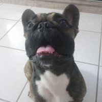 Sergim (@sergiobr75) 's Twitter Profile Photo Sergim (@sergiobr75) 's Twitter Profile Photo