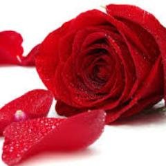 anjananext's profile picture. 