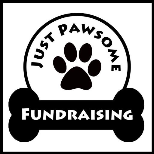 Every penny raised will be shown 2 the public and once enough funds have been raised they will be donated to rescues to help other dogs.https://t.co/tMtZ1ML4Gh