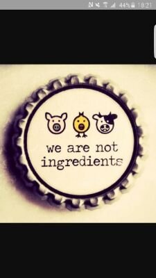 Dutch_Vegan's profile picture. 